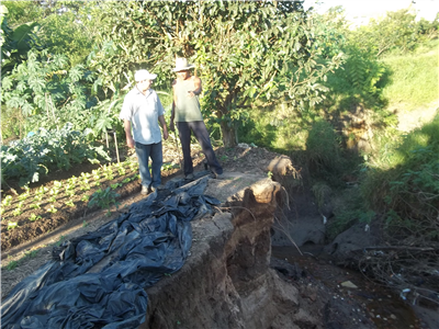 Goiabeira atrás do vereador e dono da horta foi levada com a última chuva